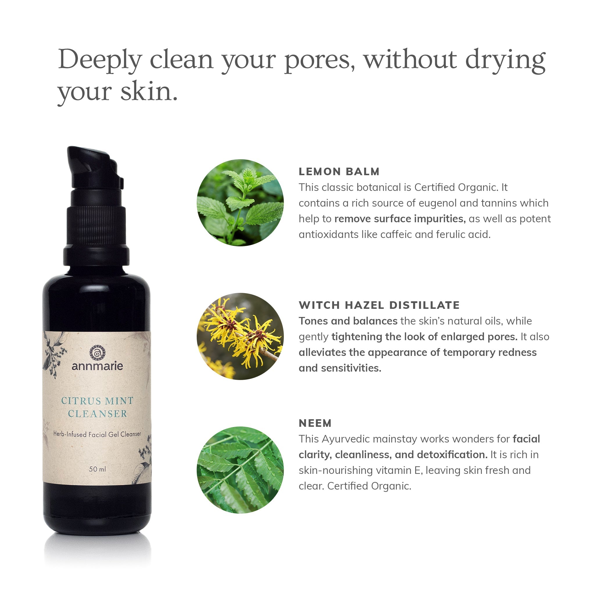 Product_Benefits_citrus_mint_cleanser_50ml_ad619694-0c9e-4229-80a7-f490aa13f72c.jpg