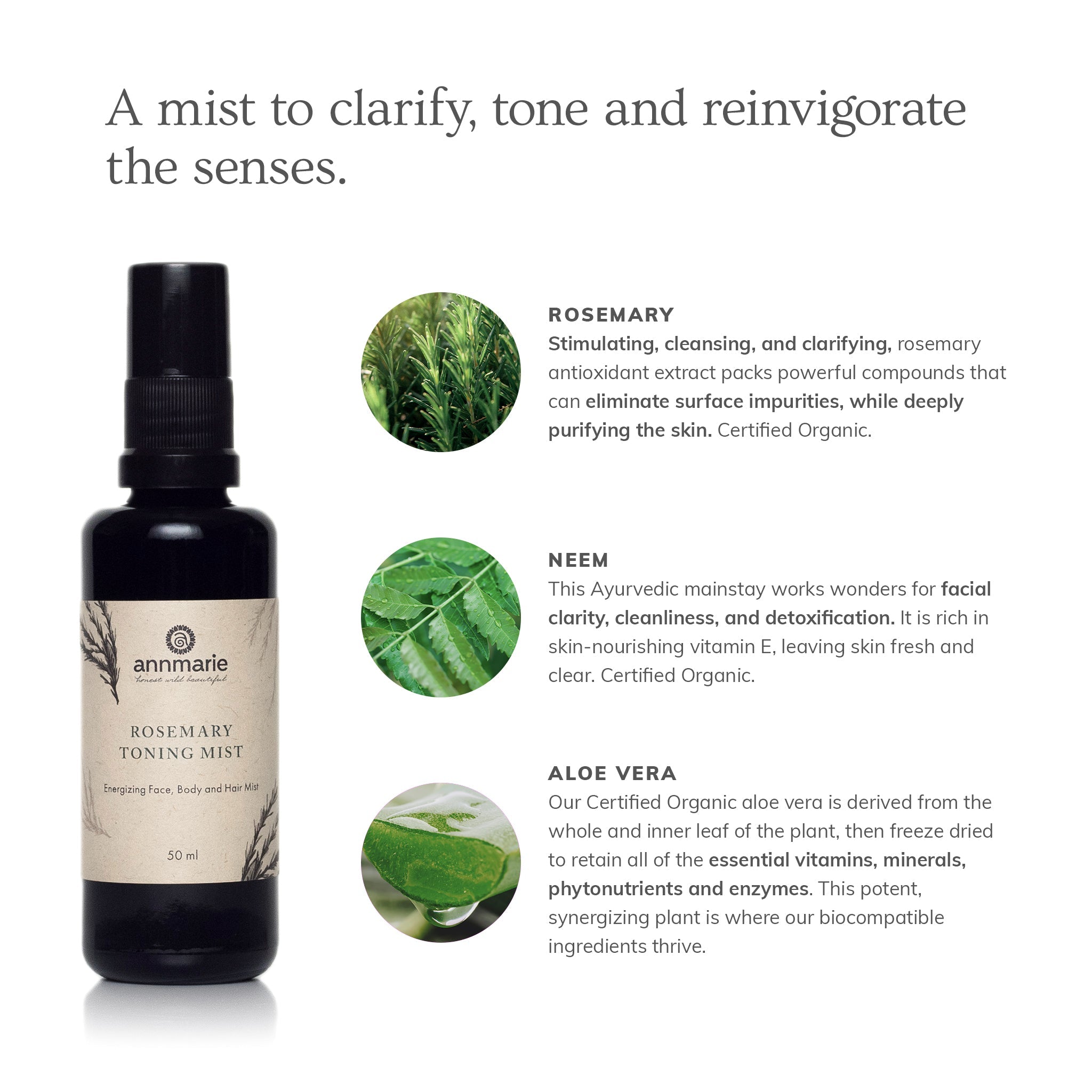 Product_Benefits_rosemary_toning_mist_f0b98143-73b9-4360-b50d-031f4fa22c8d.jpg